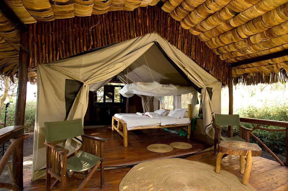 Tanzania Luxury Safari Tours