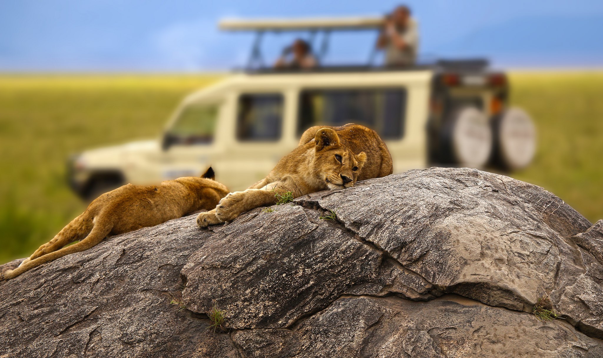 Highlight Safaris Tours