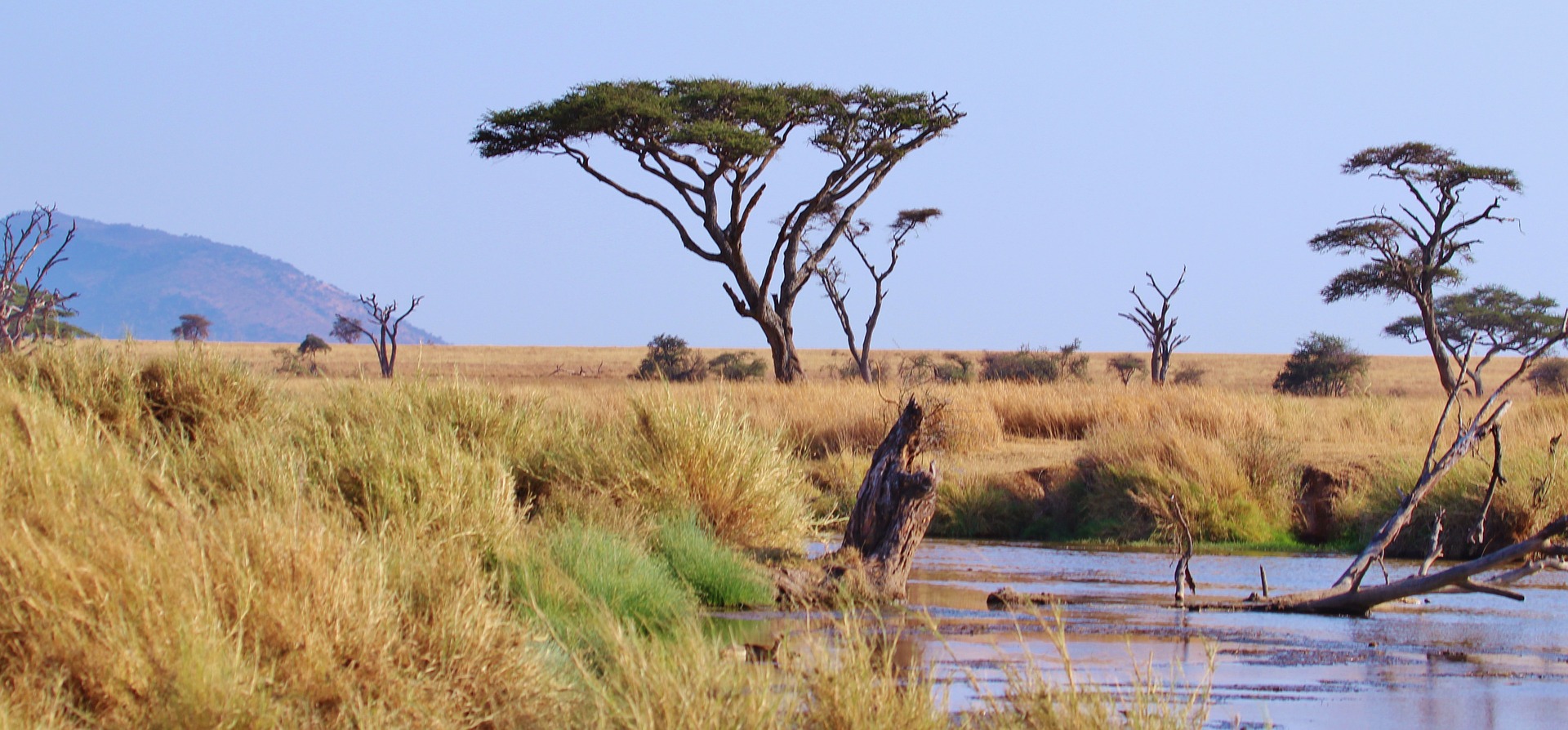 Classic Safari in Tanzania
