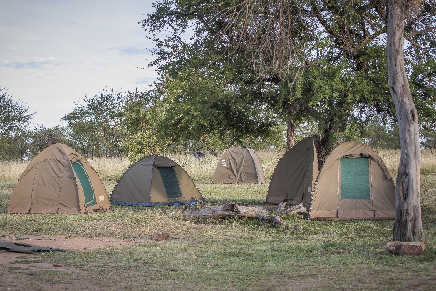 4 Days Budget Camping Safari Tanzania