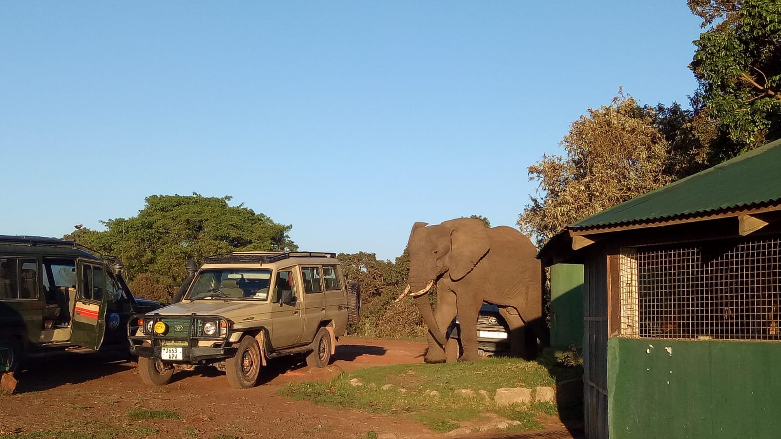 Budget Safari Tour Tanzania