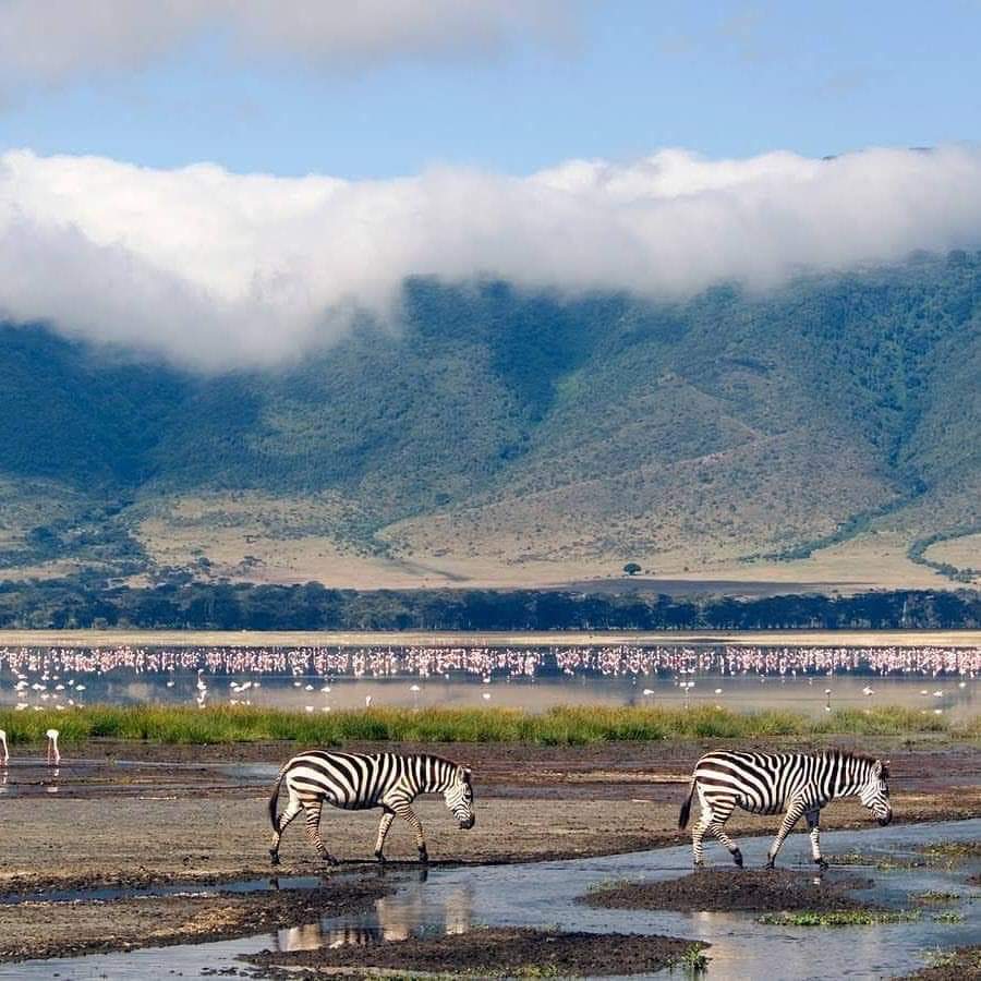 6 Days Mid Range Camping Safari Tours Tanzania