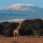 How Tall Is Mount Kilimanjaro
