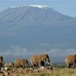 Which is the Hardest part of Climbing Kilimanjaro